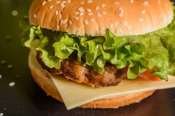 Tasty grilled homemade burger with beef, tomato, cheese, cucumber and lettuce — Stock Photo, Image