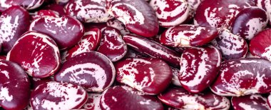 Haricot fasulyesi yüksek çözünürlüklü yakın plan. Beton bir arka planda çok renkli güzel fasulyeler.