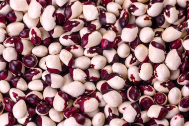 Haricot fasulyesi yüksek çözünürlüklü yakın plan. Beton bir arka planda çok renkli güzel fasulyeler.