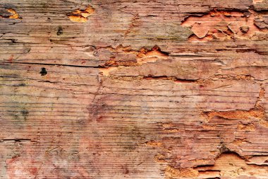 Doku, ahşap, duvar, arka plan olarak kullanılabilir. Çizik ve çatlaklarla ahşap doku