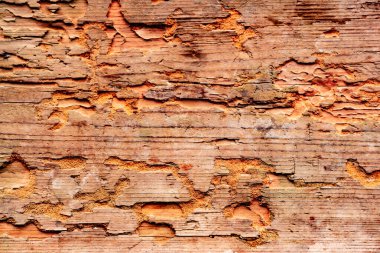 Doku, ahşap, duvar, arka plan olarak kullanılabilir. Çizik ve çatlaklarla ahşap doku