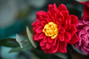 Yaz bahçesinde eski bir bisiklet sepetinde sabundan yapılmış parlak renkli çiçeklerden bir buket.