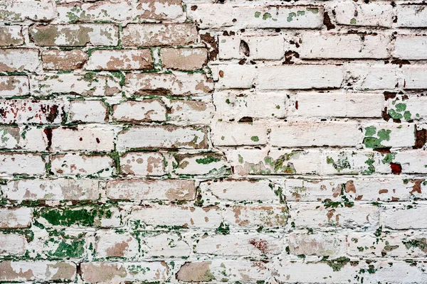 Textura Desgastada Fundo Parede Tijolo Verde Branco Velho Manchado Blocos — Fotografia de Stock