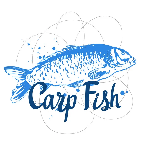 Hand drawn vector illustration with sketch carp. Fish Market. Seafood menu. Brush design elements. Handwritten ink lettering. — Stock Vector
