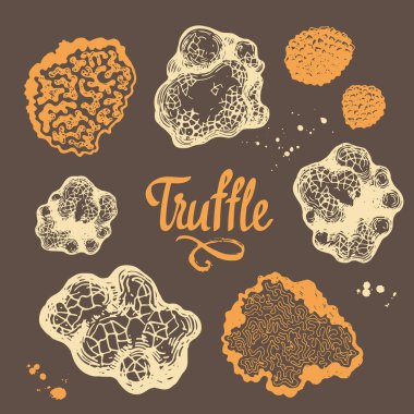 Vektör çizim mantar kroki tarzı dizi. Truffle kahverengi zemin üzerine çizilmiş. Fransız Şarküteri. Sonbahar orman hasat.