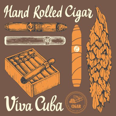 Vektör çizim ile klasik smokeking ayarlayın. Tütün kutusu, el avuç puro, yaprak kroki tarzı haddelenmiş. En iyi Küba kalite.