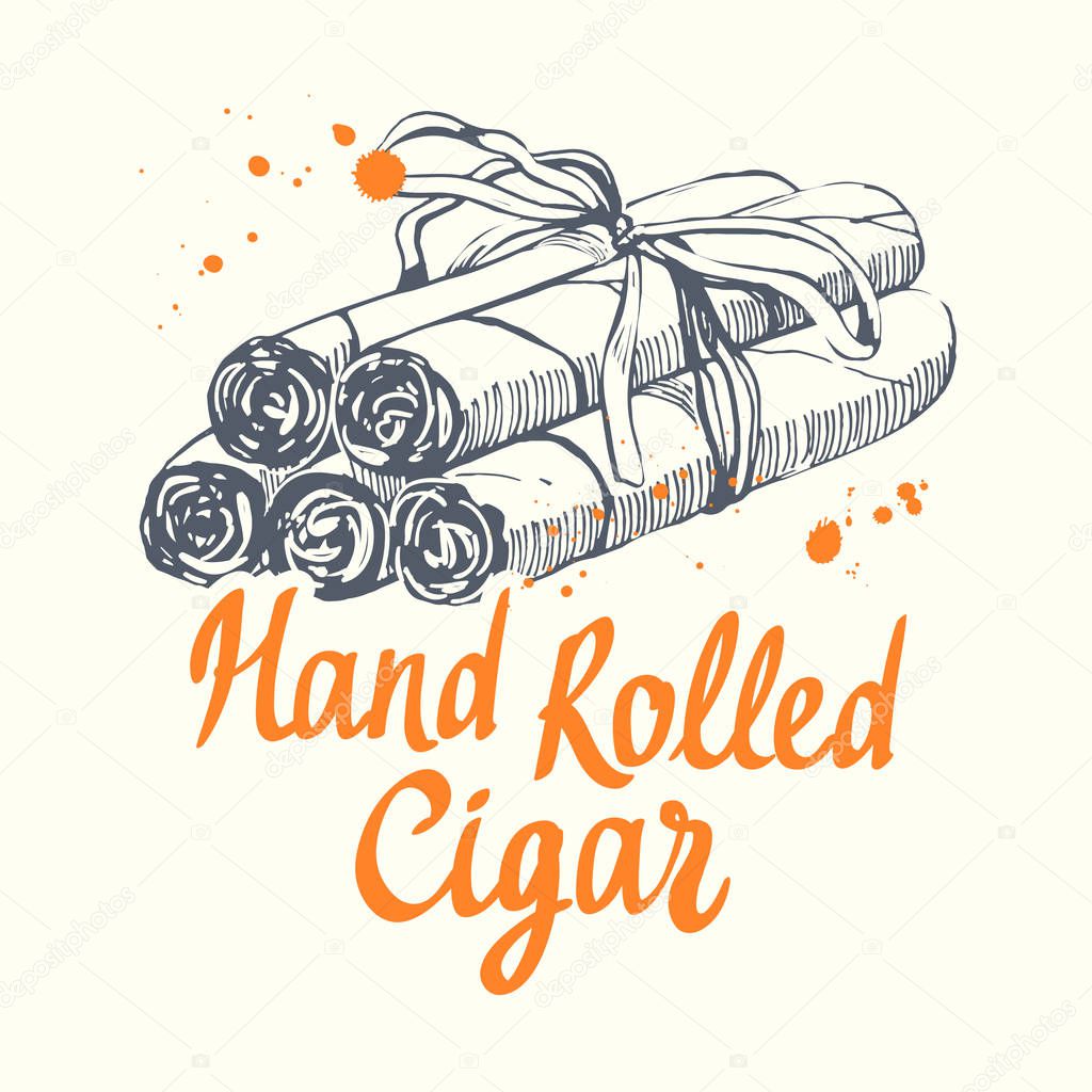 Vector illustration with hand rolled cigars in sketch style. Best cuban quality. Brush calligraphy elements for your design. Handwritten ink lettering.
