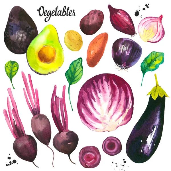 Ilustración de acuarela con productos cultivados en granja.Conjunto de verduras: aguacates, cebollas, patatas, remolacha, berenjena, col, espinacas. Comida orgánica fresca. Violeta. . — Foto de Stock