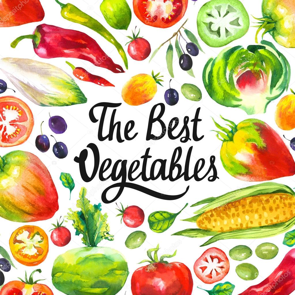 Watercolor illustration with round composition of farm products. Vegetables set: artichokes, tomato, olives, cauliflower, chicory, corn, tomato, spinach, peppers. Fresh organic food.