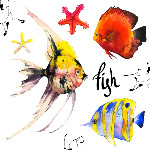 Het aantal tropische zee vissen. Aquarel illustratie met hand getrokken exotische aquariumvissen op witte achtergrond. — Stockfoto