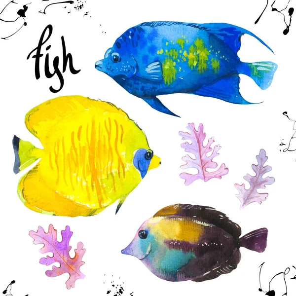 Tropische Meeresfische. Aquarell-Illustration mit handgezeichneten Aquarien exotischer Fische auf weißem Hintergrund. — Stockfoto