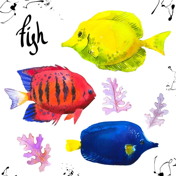 Set of tropical marine fish. Watercolor illustration with hand drawn aquarium exotic fish on white background.