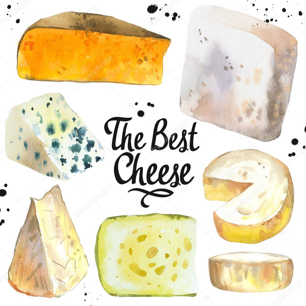 Watercolor illustration with different noble cheeses: camembert, gouda, parmesan, blue, edammer, maasdam, brie, roquefort. Snack bar. Farm dairy products. Fresh organic food.