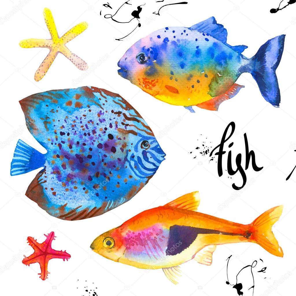 Set of tropical marine fish. Watercolor illustration with hand drawn aquarium exotic fish on white background.