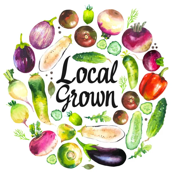 Akvarelu ilustrace s kr. složení farma ilustrací. Sada zeleniny: pepř, okurka, tuřín, křen, lilek, rajčata. Čerstvé biopotraviny. — Stock fotografie