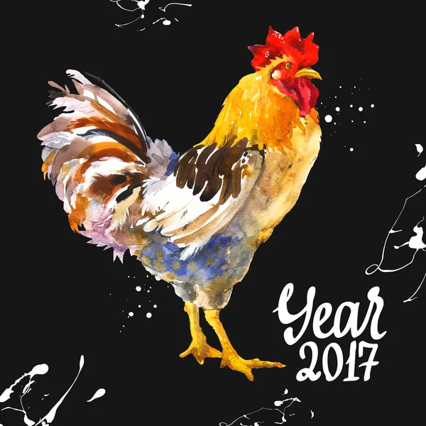 Ilustración realista del gallo multicolor sobre fondo negro. Acuarela pájaro doméstico dibujado a mano. 2017 Año Nuevo Chino del Gallo. Póster con símbolo del año . — Foto de Stock