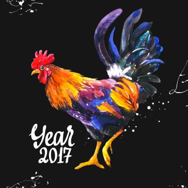 Siyah arka plan üzerine çok renkli horoz gerçekçi Illustration. Sulu Boya çizilmiş yerli kuş. Horoz, 2017 Çin yeni yılı. Yılın simgesi poster.