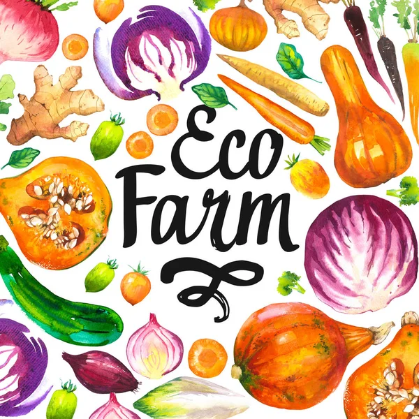 Watercolor illustration with round composition of farm illustrations. Vegetables set: pumpkin, zucchini, onion, tomato, cabbage, broccoli, beets, carrots, ginger, plum. Fresh organic food.