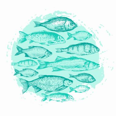 Balık ile çizimler vektör çizim. Yuvarlak kompozisyon. Elle çizilmiş balık. Mavi tasarım. Balık pazarı. Poster için deniz ürünleri yemek listesi.