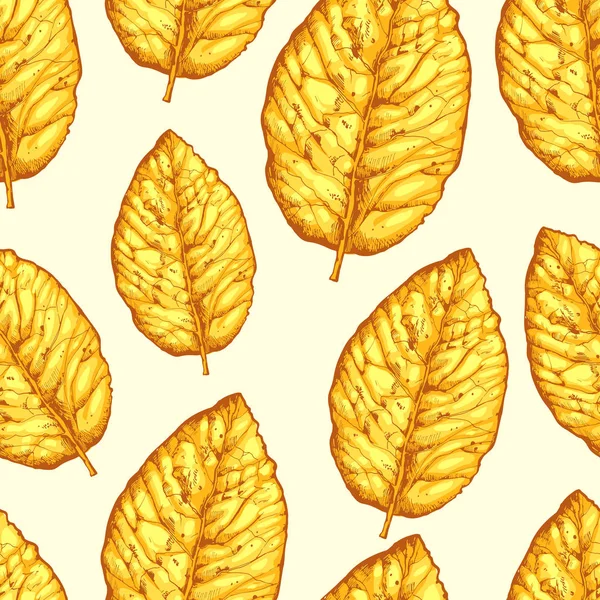 Motif sans couture avec des feuilles jaunes séchées sur fond blanc. Illustration vectorielle du tabac . — Image vectorielle