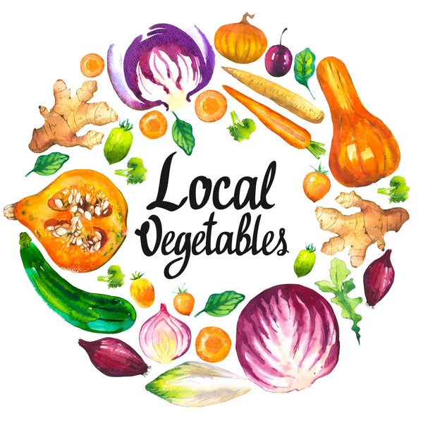 Akvarel ilustrace s kulatým složením zemědělských produktů. Sada zeleniny: dýně, cuketa, cibule, rajčata, zelí, brokolice, řepa, mrkev, zázvor, švestka. Čerstvé organické potraviny. — Stock fotografie