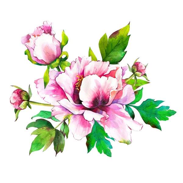 Homoseksüellerle kompozisyon. Suluboya buketi. Beyaz zemin üzerinde çiçekler ve bitkiler olan botanik çizimler.