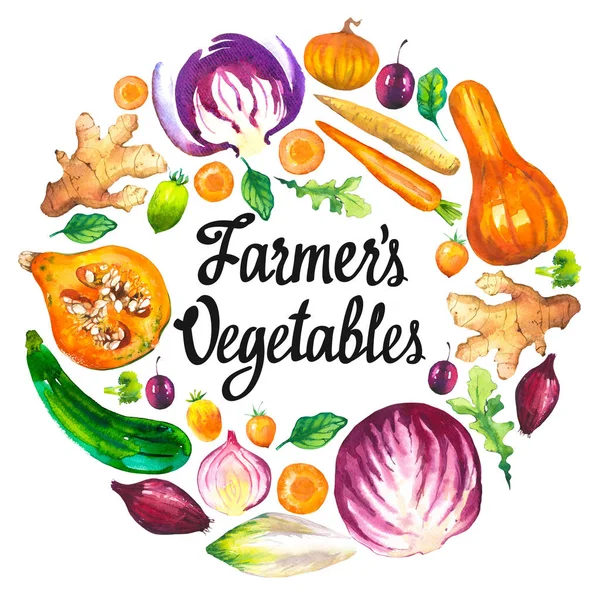 Акварельная иллюстрация с круглой композицией сельскохозяйственной продукции. Набор овощей: тыква, цуккини, лук, помидор, капуста, брокколи, свекла, морковь, имбирь, слива. Свежие органические продукты . — стоковое фото