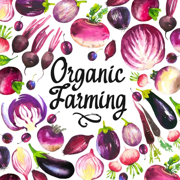 Aquarel illustratie met ronde samenstelling van landbouwproducten. Groenten set: kool, aubergine, rapen, radijs, wortel, ui. Vers biologisch voedsel. Viooltje. — Stockfoto