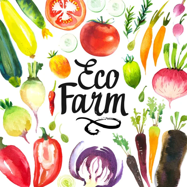 Aquarel illustratie met ronde samenstelling van boerderij illustraties. Groenten set: artisjokken, sjalotten, prei, paprika, kool, wortelen, komkommer, courgette, raap, radijs. Verse biologische voeding. — Stockfoto