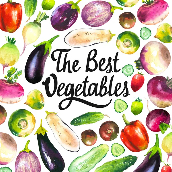 Aquarel illustratie met samenstelling van boerderij gegroeid illustraties. Groenten set: peper, komkommer, raap, radijs, aubergine, tomaat. Verse biologische voeding. — Stockfoto