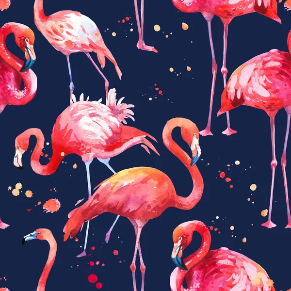 暗い青色の背景の水彩画のシームレスなパターン。ピンクのフラミンゴのイラスト。熱帯性の鳥。パラダイス. — ストック写真