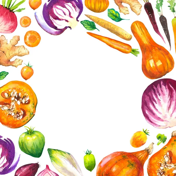 Акварельная иллюстрация с круглой композицией сельскохозяйственных иллюстраций. Набор овощей: тыква, цуккини, лук, помидор, капуста, брокколи, свекла, морковь, имбирь, слива. Свежие органические продукты . — стоковое фото