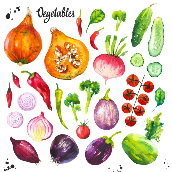 Ακουαρέλα εικονογράφηση με γεωργικά προϊόντα που καλλιεργούνται. Σετ λαχανικά: γογγύλι, λάχανο, αγγούρι, ντομάτα, λάχανο, κρεμμύδι, κολοκύθι, αγγούρι, σπανάκι, πιπέρι. Φρέσκα βιολογικά τρόφιμα. — Φωτογραφία Αρχείου