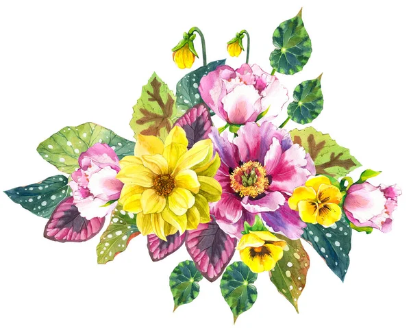 Összetétel Pansies, Peonies, Dahlias. Akvarell csokor. Botanikai illusztrációk virágokkal és növényekkel fehér alapon. — Stock Fotó