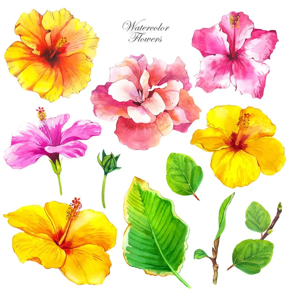 Hibiscus watercolor illustrations set. Pink and yellow floral sketch drawing. Exotic blossom, buds realistic hand drawn cliparts. Tropical flowers with aquarelle texture. Postcard isolated design — Stock Photo, Image