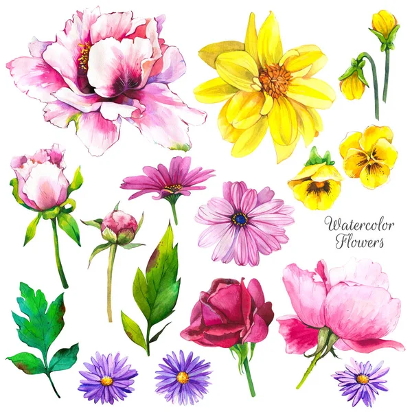 Botanical illustration with tropical plants. Watercolor set of green leaves and flowers: dahlia, peony, pansies, rose. Handmade painting realistic watercolor cliparts. — Stock Photo, Image