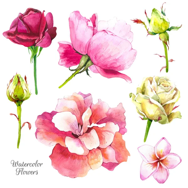 Ilustracja botaniczna roślin tropikalnych. Zestaw akwareli zielonych liści i kwiatów: hibiskus, róża. Ręcznie malowane realistyczne cliparts akwarela. — Zdjęcie stockowe