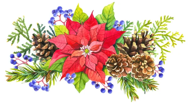 Piękny akwarelowy wieniec i nagłówek z zimowymi kwiatami i roślinami na białym tle jagód, poinsetcji i szyszki sosny. Wesołych Świąt. — Zdjęcie stockowe