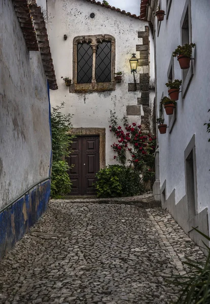 Portekiz, Obidos. Arnavut kaldırımlı taş sokakları, merdiven ve bir abundanc — Stok fotoğraf