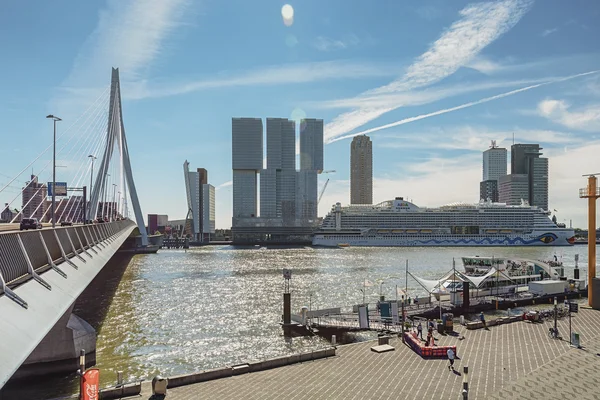 Puente Erasmus y para el edificio el Rotterdam a lo largo de la Wil —  Fotos de Stock