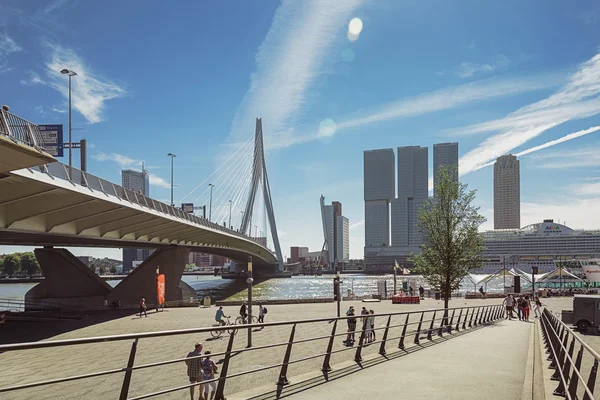 Rotterdam, puente Erasmus y para el edificio el Rotterdam a lo largo de la Wilhelminakade tiene el crucero AIDA atracado . —  Fotos de Stock