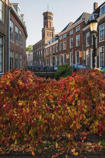 Kromme Nieuwegracht in het historisch centrum van de stad Utrecht — Stockfoto