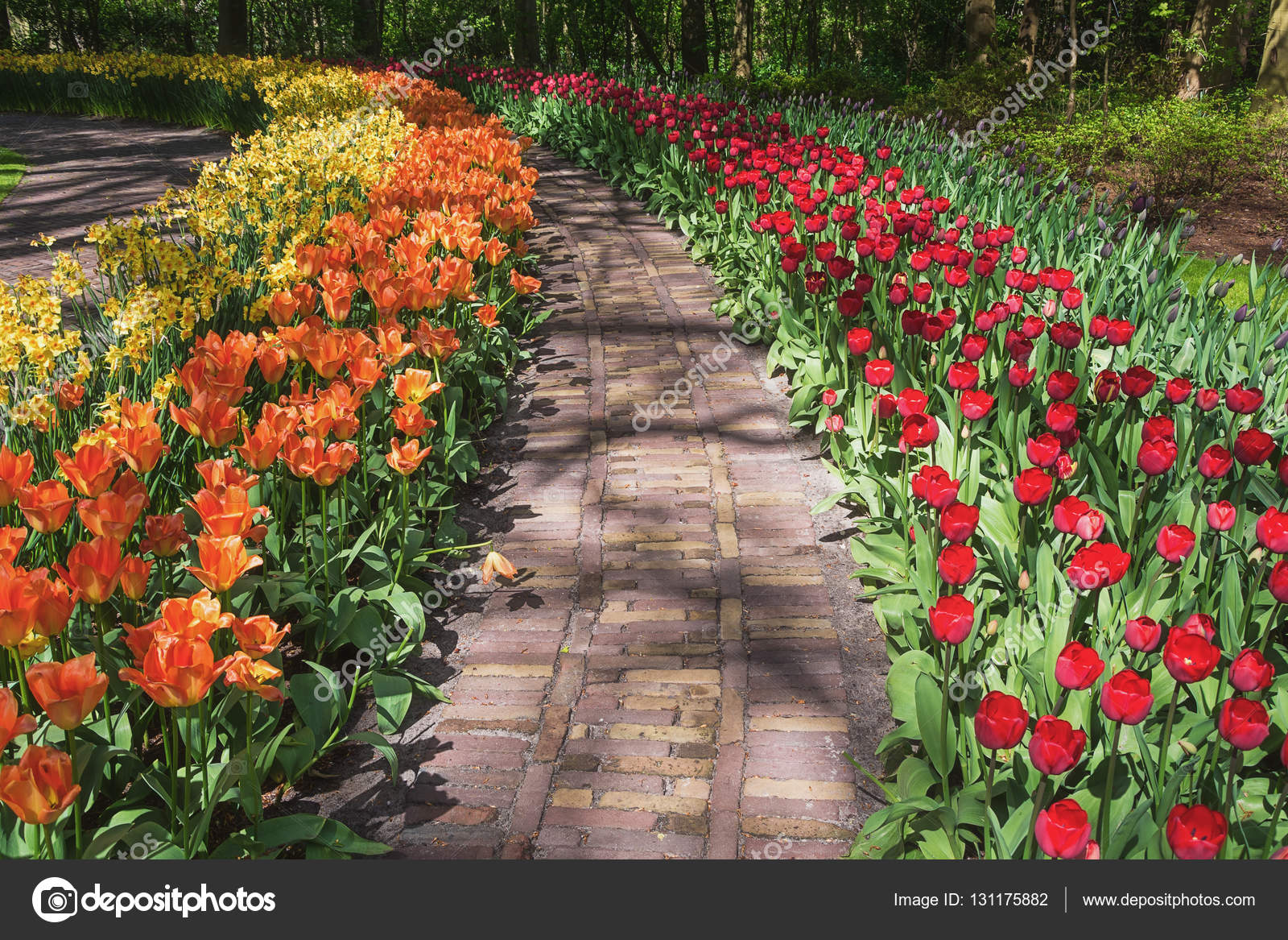 Garden path with a border of flowers Stock Photo by ©Julia700702 131175882