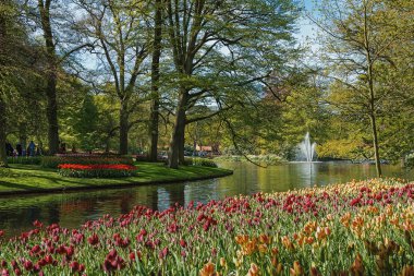 Keukenhof parkta Gölü nün görünümü