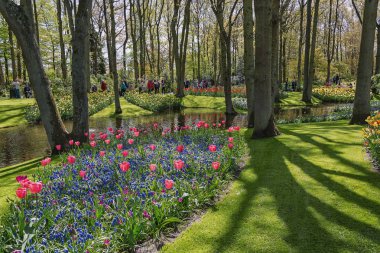 Çok renkli çiçek alanları park tür.