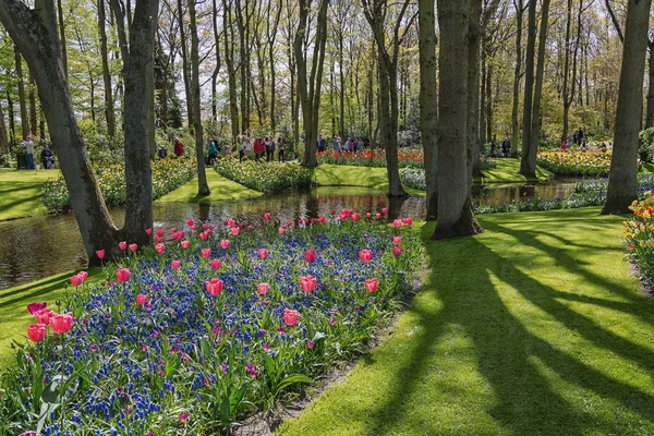 Multi-colored species of flower fields in park. — Stock Photo, Image