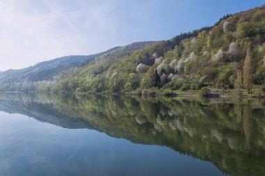 Doğal nehir Moselle, Almanya.