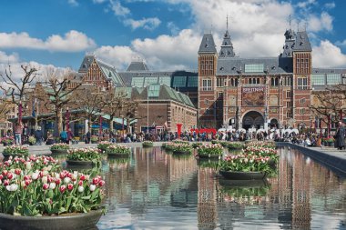 Amsterdam'da Lale Festivali sırasında Lale havuzda yetiştiricilerinin dolu