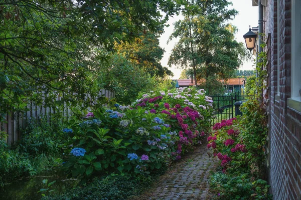 Мбаппе сад в Хаалдерсбруке, деревня в Заанстаде — стоковое фото