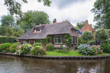 Evin önünde çiçek açan bir bahçe görünümünü.